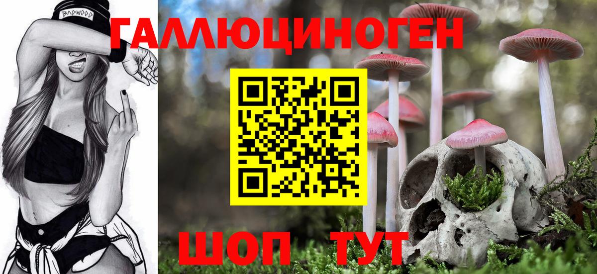 Гудермес  Галлюциногенные грибы GOLDEN TEACHER  Галлюциногенные грибы мухоморы  Вход с VPN 