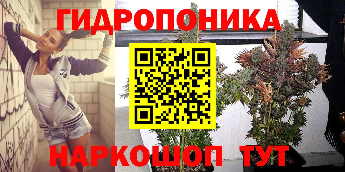 Гудермес  Шишки марихуана MAZAR  Вход с VPN  Бошки марихуана THC 21%  Бошки марихуана планчик 